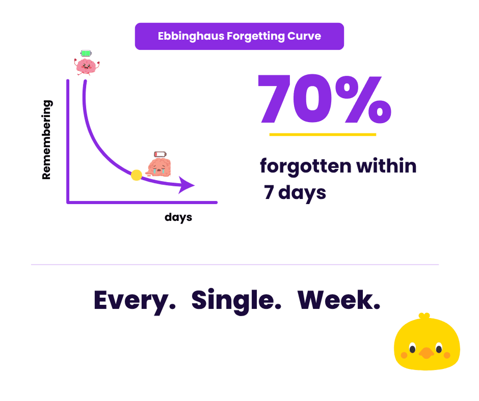 The Ebbinghaus Forgetting Curve — most new information is forgotten within days without review