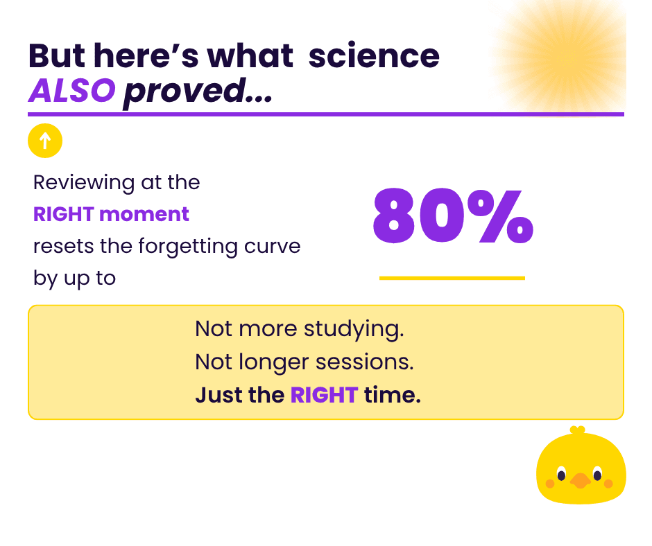 Reviewing at the right moment resets the forgetting curve by up to 80%